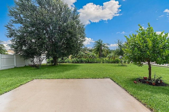 view of yard with a patio