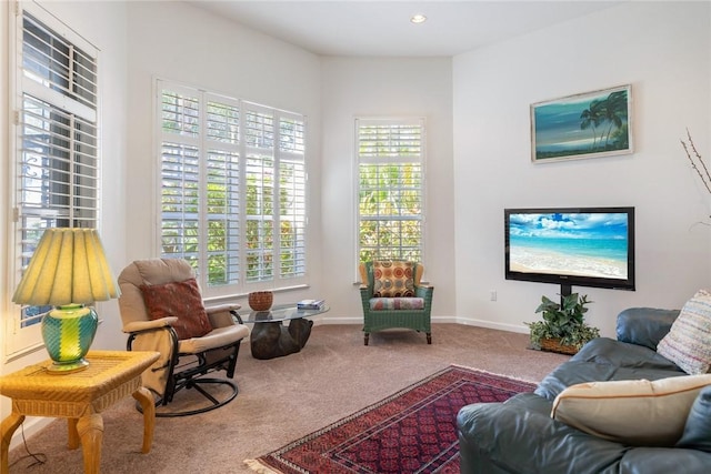 living room with carpet flooring