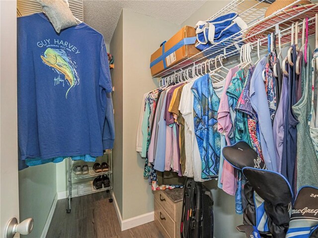 walk in closet with wood-type flooring