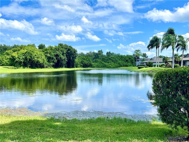 water view