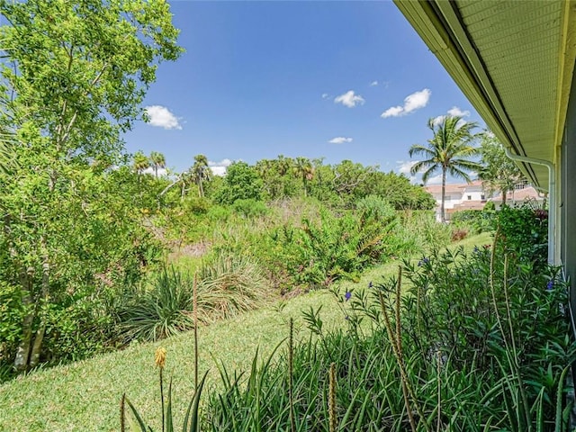 679 5th Ave, Vero Beach, FL 32962 - view of nature