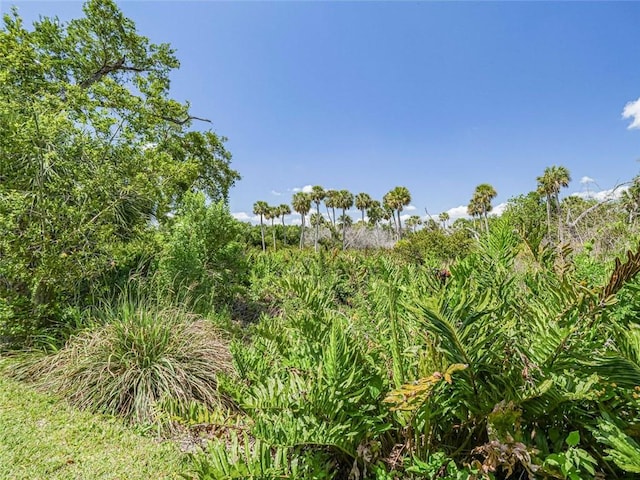 679 5th Ave, Vero Beach, FL 32962 - view of nature