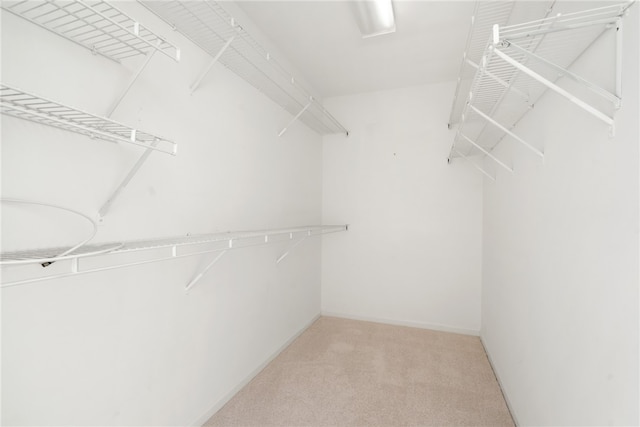 spacious closet with light carpet