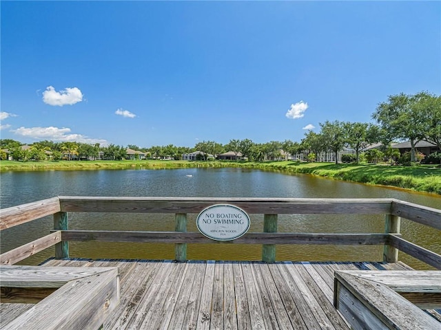 dock area with a water view