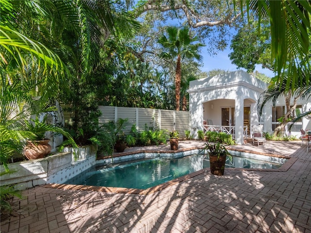 view of pool featuring a patio area