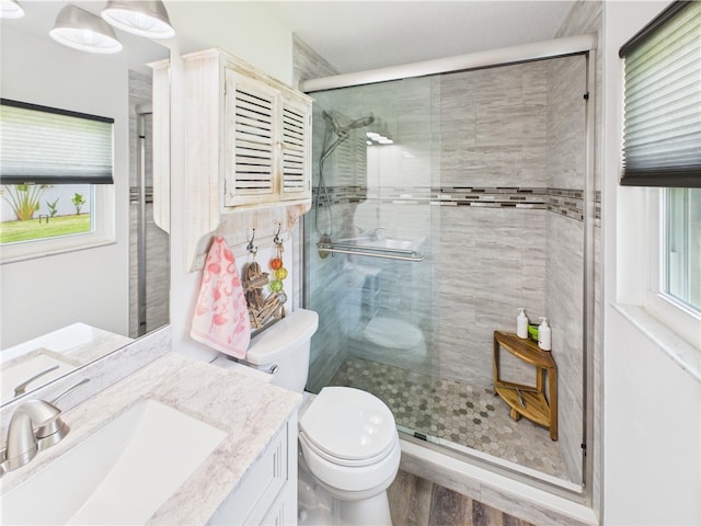 249 Columbus St, Sebastian, FL 32958 - bathroom with toilet, plenty of natural light, vanity, and a shower stall