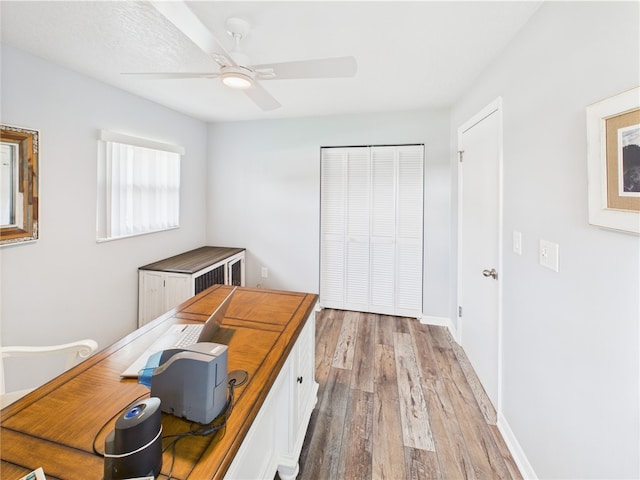 249 Columbus St, Sebastian, FL 32958 - bedroom with a closet, light wood-style flooring, and a ceiling fan