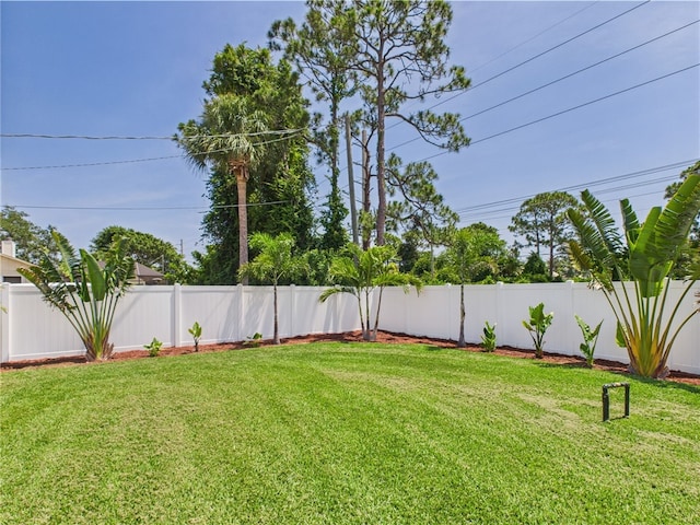 249 Columbus St, Sebastian, FL 32958 - view of yard