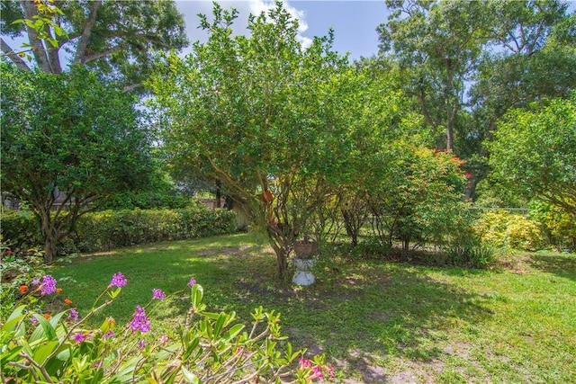 2615 15th St, Vero Beach, FL 32960 - view of green lawn