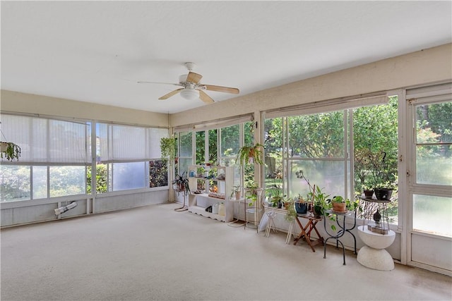 2615 15th St, Vero Beach, FL 32960 - sunroom featuring a ceiling fan, plenty of natural light, and carpet floors