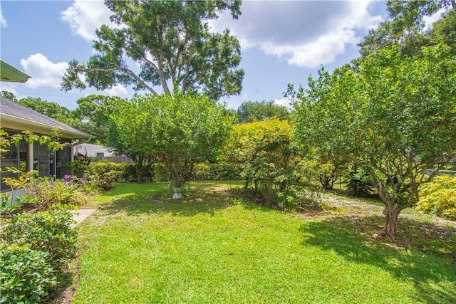 2615 15th St, Vero Beach, FL 32960 - view of green lawn