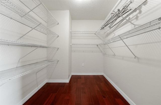 6057 Ridge Lake Cir, Vero Beach, FL 32967 - walk in closet featuring wood finished floors