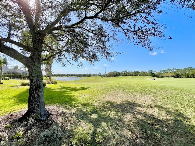 view of yard with a water view