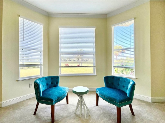 sitting room with carpet flooring and crown molding