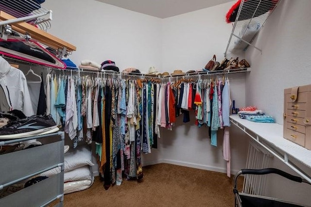 spacious closet with carpet