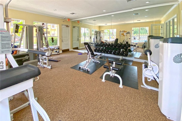 workout area with carpet and crown molding