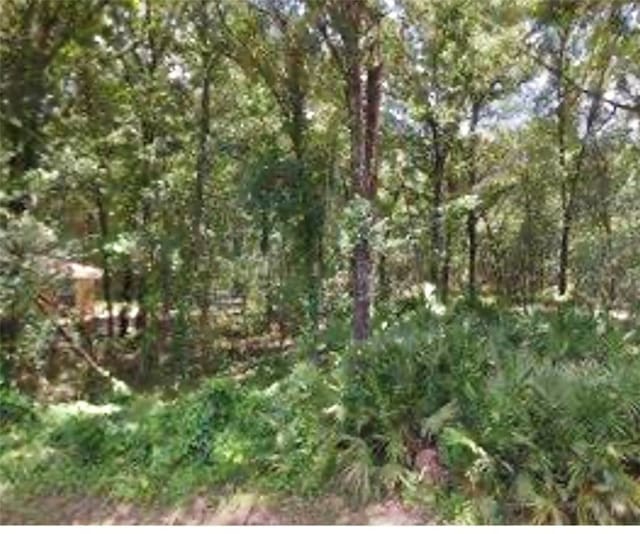 3494 E Jonah Pl Fl, FL, 34453 land for sale