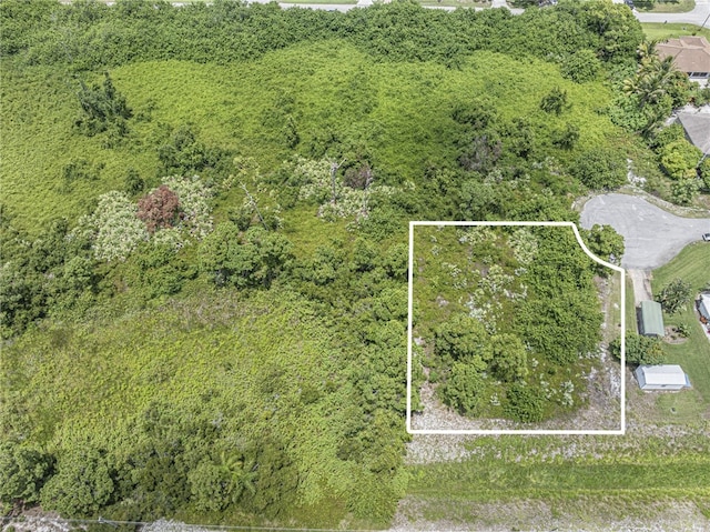 107 Athens Ct, Sebastian, FL 32958 - photo 7