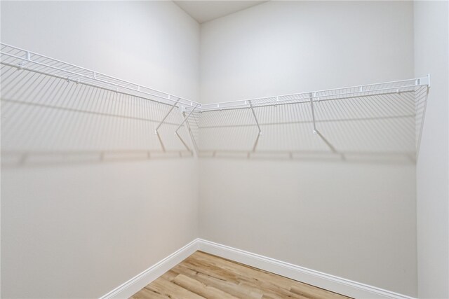 walk in closet featuring wood-type flooring