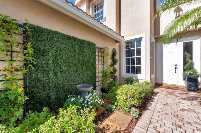 view of exterior entry featuring stucco siding and a tiled roof