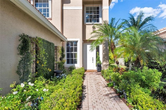 entrance to property featuring stucco siding