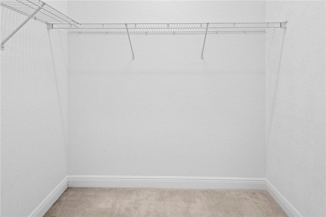 1877 Grey Falcon Cir SW, Vero Beach, FL 32962 - spacious closet featuring light colored carpet
