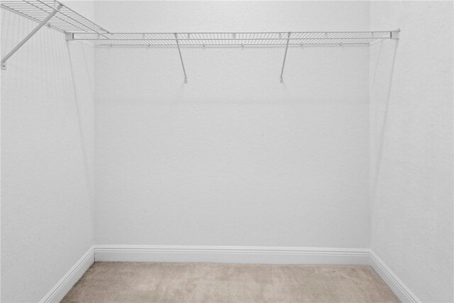 1877 Grey Falcon Cir SW, Vero Beach, FL 32962 - spacious closet featuring light colored carpet
