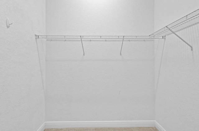 1877 Grey Falcon Cir SW, Vero Beach, FL 32962 - spacious closet with light colored carpet