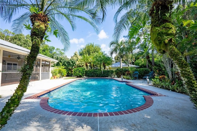 view of swimming pool featuring a patio area, a sunroom, and ceiling fan