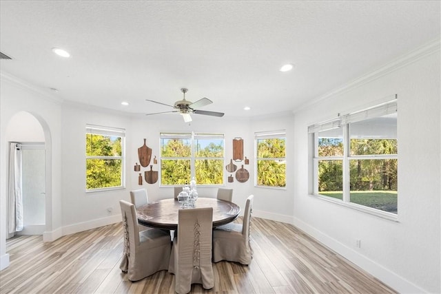 dining room featuring crown molding, light hardwood / wood-style floors, and ceiling fan