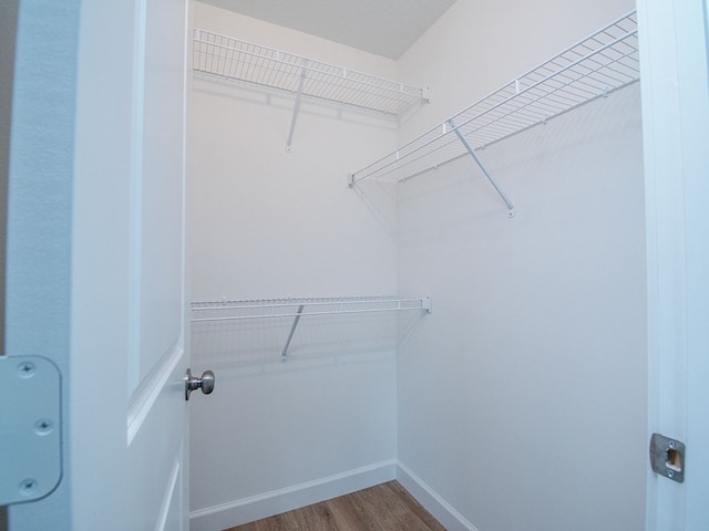 6156 6th Pl, Vero Beach, FL 32968 - walk in closet featuring wood finished floors