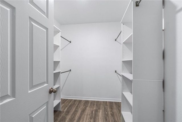 spacious closet with dark hardwood / wood-style floors