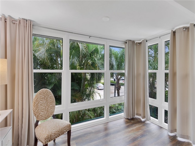 doorway with dark hardwood / wood-style flooring and a wealth of natural light