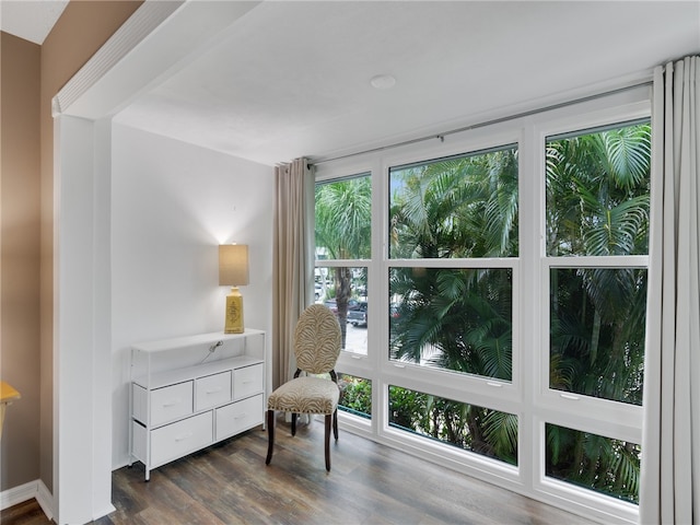 living area featuring a healthy amount of sunlight and dark hardwood / wood-style flooring