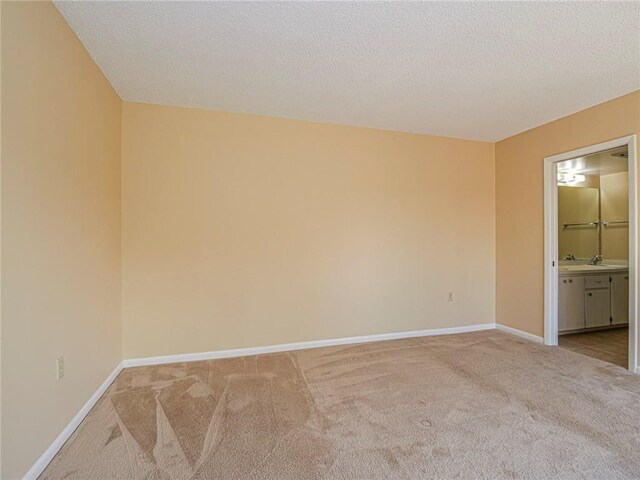 carpeted spare room with sink and a textured ceiling