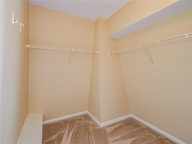 spacious closet with carpet floors