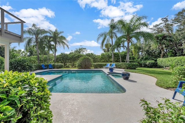 view of swimming pool with an in ground hot tub and a patio