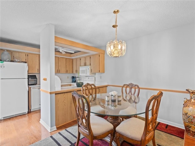 dining room featuring ceiling fan with notable chandelier, a textured ceiling, and light wood-type flooring