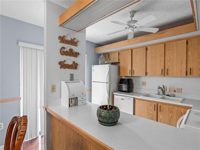 kitchen featuring ceiling fan, white appliances, sink, and a textured ceiling