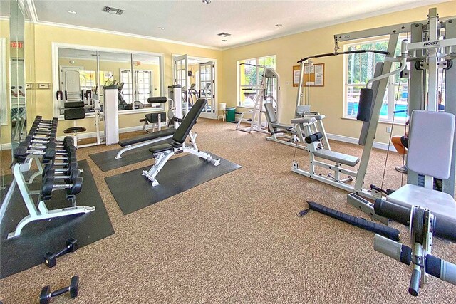 exercise room with ornamental molding and a healthy amount of sunlight