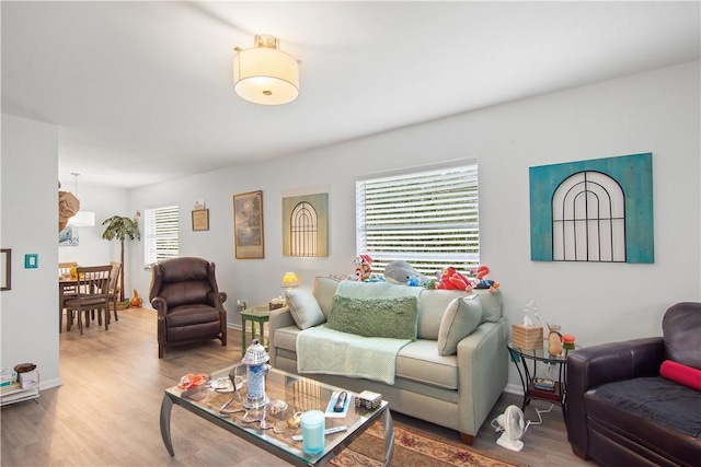 living room featuring hardwood / wood-style flooring