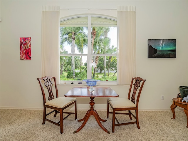 dining room with a wealth of natural light and light carpet