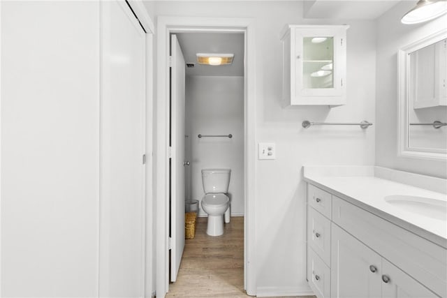 bathroom featuring vanity, toilet, and wood finished floors