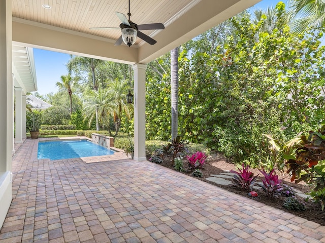 view of swimming pool featuring ceiling fan and a patio