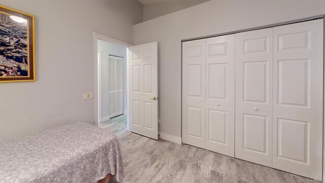 bedroom featuring light wood-type flooring and a closet