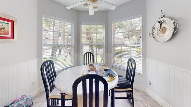 dining area featuring light hardwood / wood-style flooring, ceiling fan, and plenty of natural light