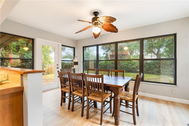 dining space featuring ceiling fan, light hardwood / wood-style flooring, and a healthy amount of sunlight