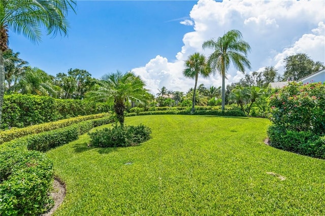 515 River Dr, Vero Beach, FL 32963 - photo 31