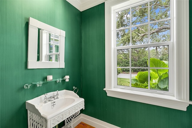 bathroom featuring ornamental molding and sink