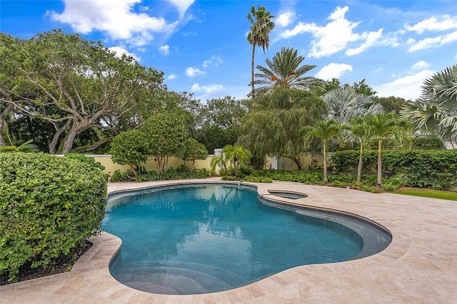 view of swimming pool with a patio and an in ground hot tub